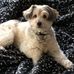 Profile Picture of David Cullinane (@david.cullinane.589) on Facebook