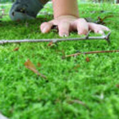 Profile Picture of Morgan Poole (@unspecified42) on Twitter