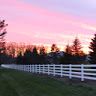 Profile Picture of Daniel Glick (@glickdf64) on Pinterest