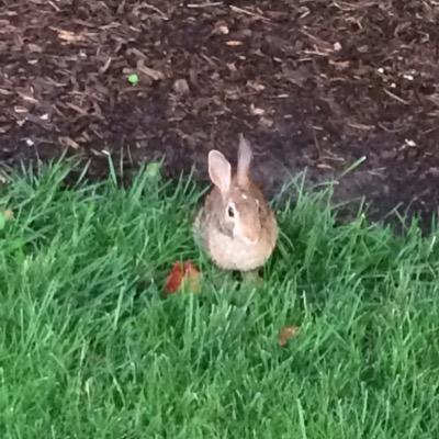 Profile Picture of Wenyi (@gu_wenyi) on Twitter