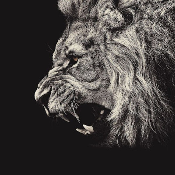 Profile Picture of Alexander Felix (@alexfelix707) on Poshmark