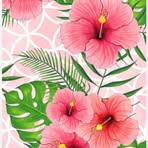 Profile Picture of Nasreen Mushtaq (@Nasreen-Mushtaq) on Facebook