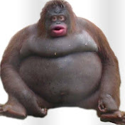 Profile Picture of Mason Wilson (@masonwilson6398) on Youtube