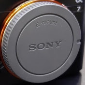 Mark Wan - Youtube Profile Picture of Mark Wan (@markwan3156) on Youtube