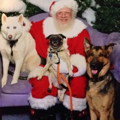 Profile Picture of Sherry Jean Dermer (@GirlReneau) on Twitter