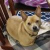 Profile Picture of tinatriplett1968 (@@tinatriplett1968) on Tiktok