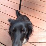 Profile Picture of Kim Cornelius (@kimberly.cornelius) on Instagram