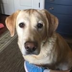 Profile Picture of Gloria Fancher Pruitt (@gloriafancherpruitt) on Instagram