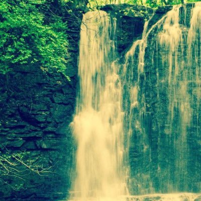 Profile Picture of Octavio Zavala (@OZVL0) on Twitter