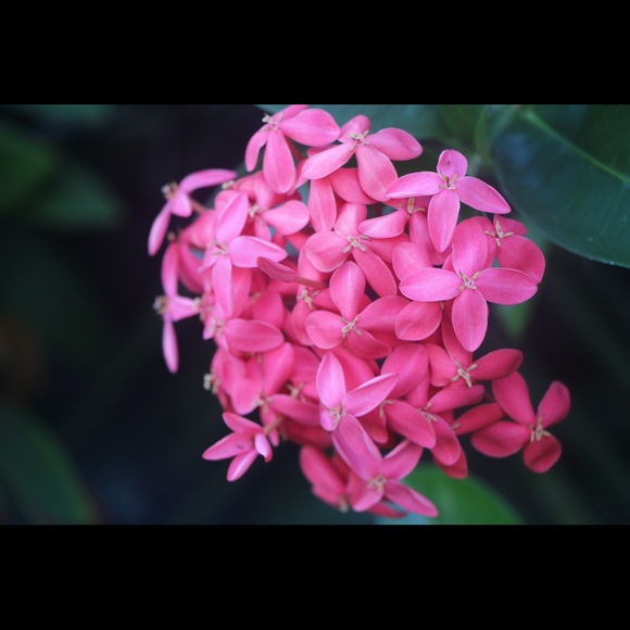 Profile Picture of Cristi Casey (@liverightsd) on Poshmark