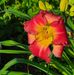 Profile Picture of Phyllis Steinman (@phyllis.steinman) on Facebook