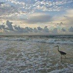 Profile Picture of Harvie (@birksroberta41k) on Instagram