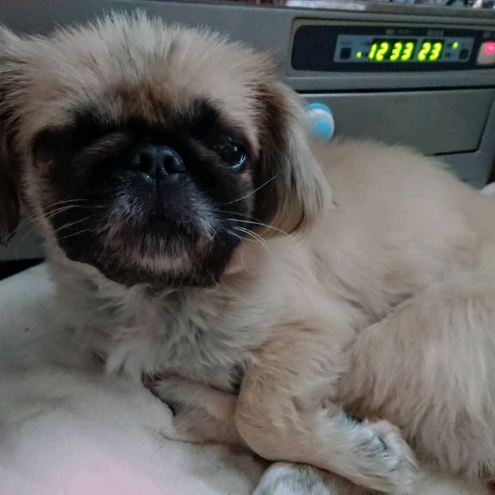 Profile Picture of Rickt (@rickt534) on Tiktok