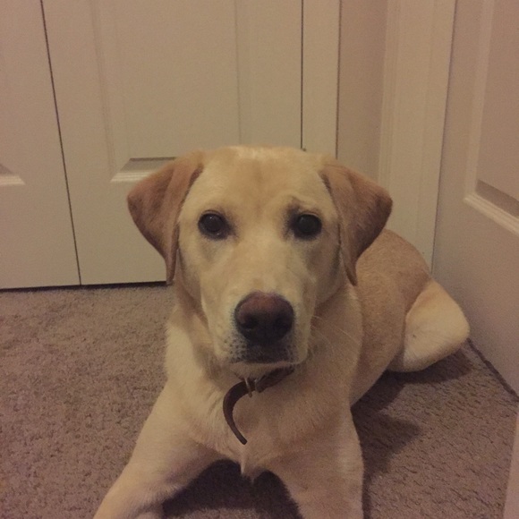 Profile Picture of Bobbie jo Marolf (@rileym01) on Poshmark