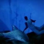 Profile Picture of Murray Cox (@rexdex174) on Instagram