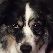 Profile Picture of Jacob Langston (@jacoblangston4334) on Youtube