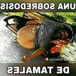 Anibal Sandoval - Instagram Profile Picture of Anibal Sandoval (@anibalsandoval110) on Instagram