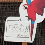 Profile Picture of うわとこ (@uwatoko2243) on Instagram