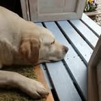 Profile Picture of Andrew Glenn Hunt (@Andrew-Glenn-Hunt) on Facebook