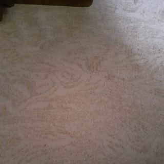 Profile Picture of János Hohmann (@janos.hohmann.3) on Facebook