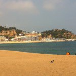 Adam Deary - Instagram Profile Picture of Adam Deary (@adam99998) on Instagram