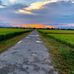 Profile Picture of Tung Dinh (@tung.dinh.1088893) on Facebook