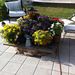 Profile Picture of Cathy Dickerson (@Pinner77cat) on Pinterest