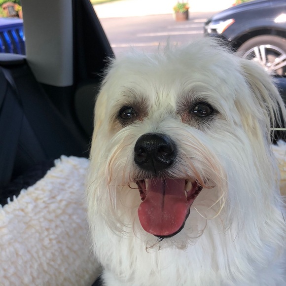 Profile Picture of Jonathan Schwartz (@fengshweet) on Poshmark