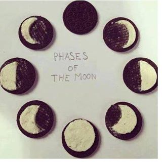 Profile Picture of Frank Spaniel (@Frank-Spaniel) on Facebook