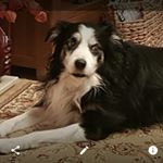 Profile Picture of Amanda Routh (@toonerwifey) on Instagram