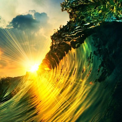 Dan - Twitter Profile Picture of Dan (@Dan_Bebo2020) on Twitter