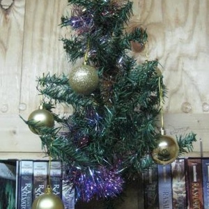 Stephen Fredrickson - Myspace Profile Picture of Stephen Fredrickson (@103653605) on Myspace