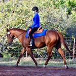 Profile Picture of Janet Cagle (@doublejstables) on Instagram