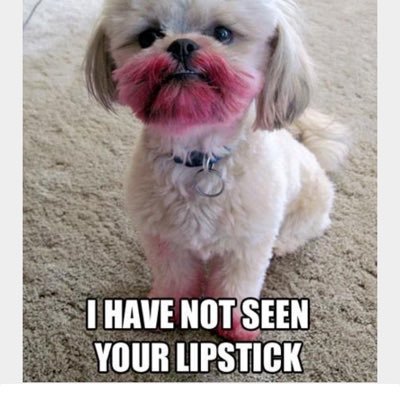 Profile Picture of Aidan John Howard (@WierdMath) on Twitter