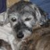 Profile Picture of Bert Gardner (@bert.gardner.7) on Facebook