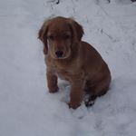 Profile Picture of Ron (@adolf_poroshenko) on Instagram