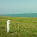 Profile Picture of John Scheurich (@johnscheurich) on Instagram