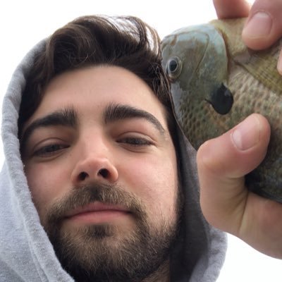 Profile Picture of Daniel Marchetti (@RealDMarchetti) on Twitter