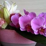 Profile Picture of Jean-claude Jacob-Leclerc (@jeanclaudejacobleclerc) on Instagram