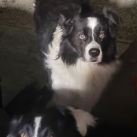 Kenny Dowell - Quora Profile Picture of Kenny Dowell (@kenny-dowell-4) on Quora