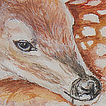 Profile Picture of Mark Harrison (@MarkH89) on Flickr