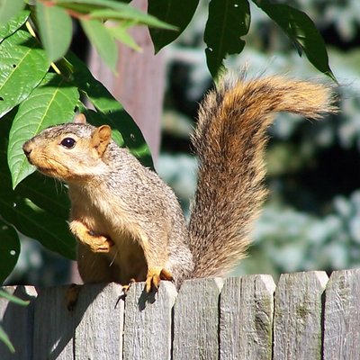 Profile Picture of Bruce M. Heath (@mescalito_19) on Twitter