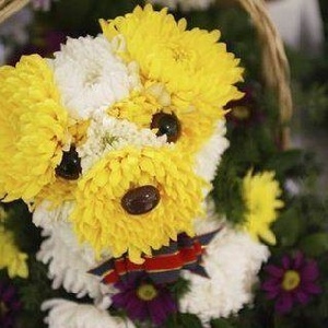 Profile Picture of Christopher Journet (@353482324) on Myspace