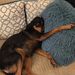 Profile Picture of Marci Wysocki Kelley (@stock105) on Pinterest