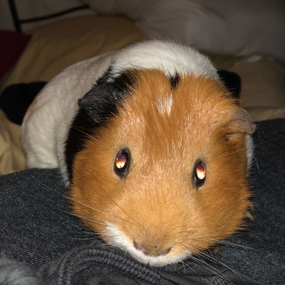 Profile Picture of Lily Foster (@lily177) on Poshmark