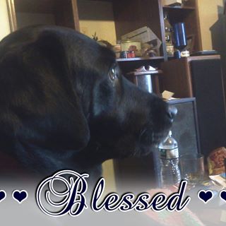 Profile Picture of Randall Burdick (@randall.burdick) on Facebook