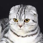 Erline Blimkie - Instagram Profile Picture of Erline Blimkie (@erlineblimkieee) on Instagram