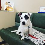 Profile Picture of Anders Thompson (@anderspatrick) on Instagram