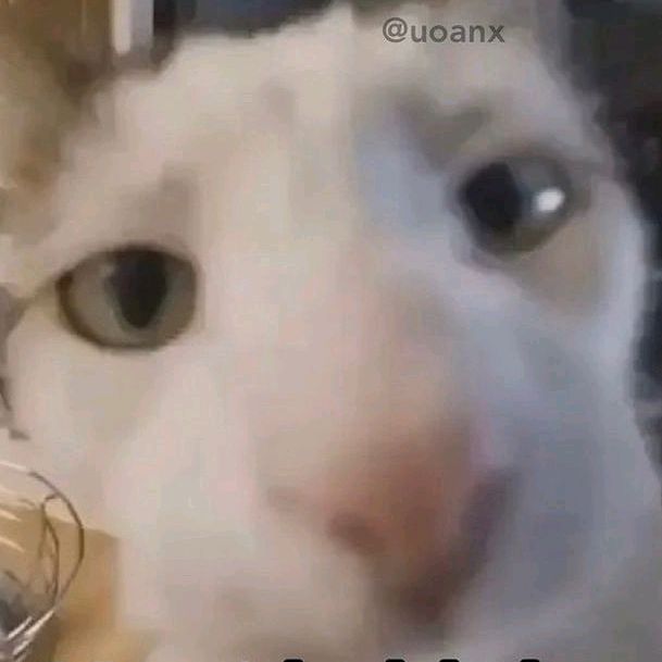 Profile Picture of Darragh Mack (@darragh_mack) on Tiktok
