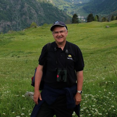 Profile Picture of Dave Shute (@daveshutebirder) on Twitter